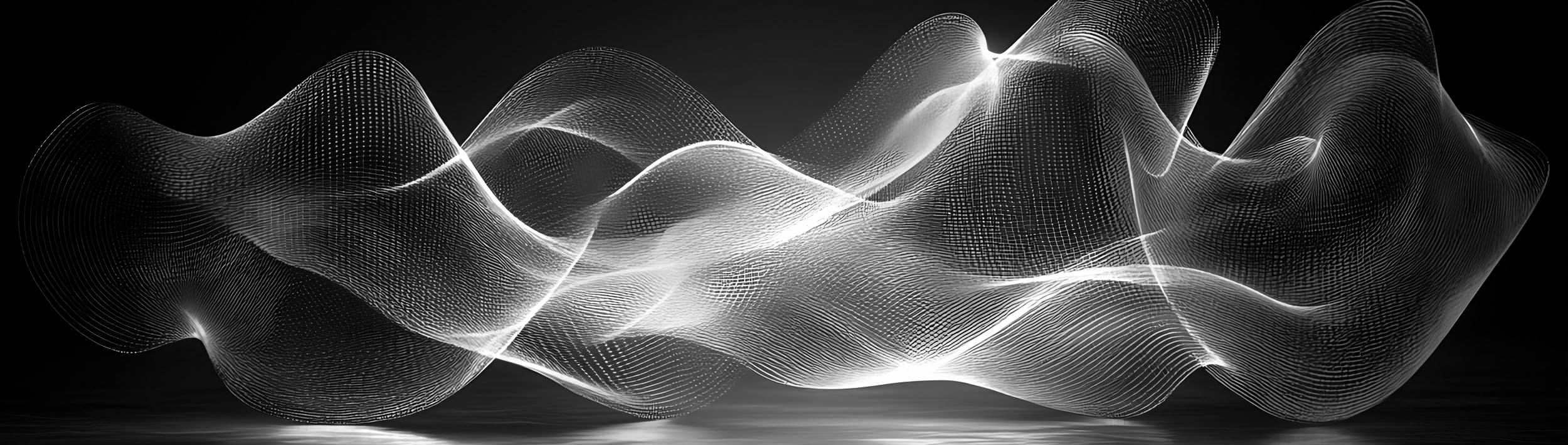 Chi NON siamo Chi NON siamo